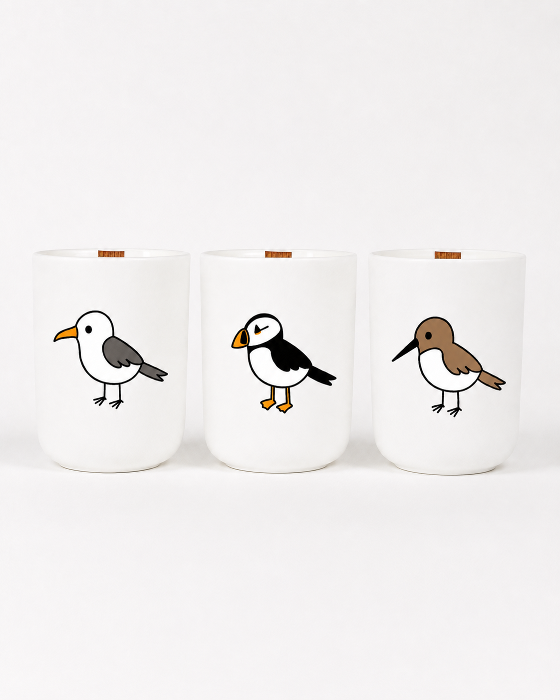The Coastal Birds Flock Box