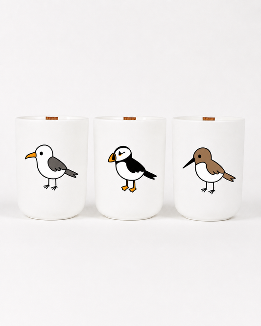 The Coastal Birds Flock Box