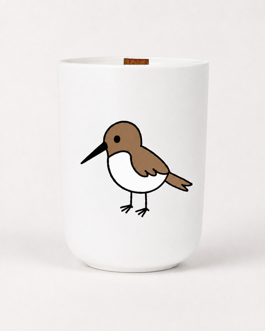The Sandpiper