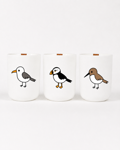 The Coastal Birds Flock Box