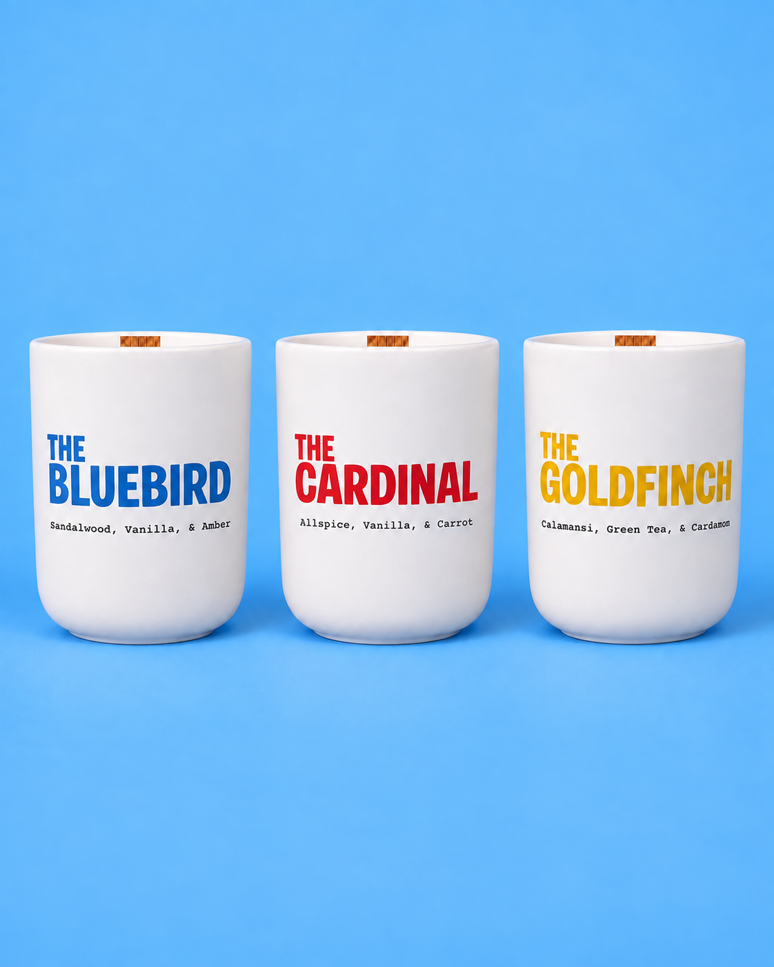The Songbirds Flock Box