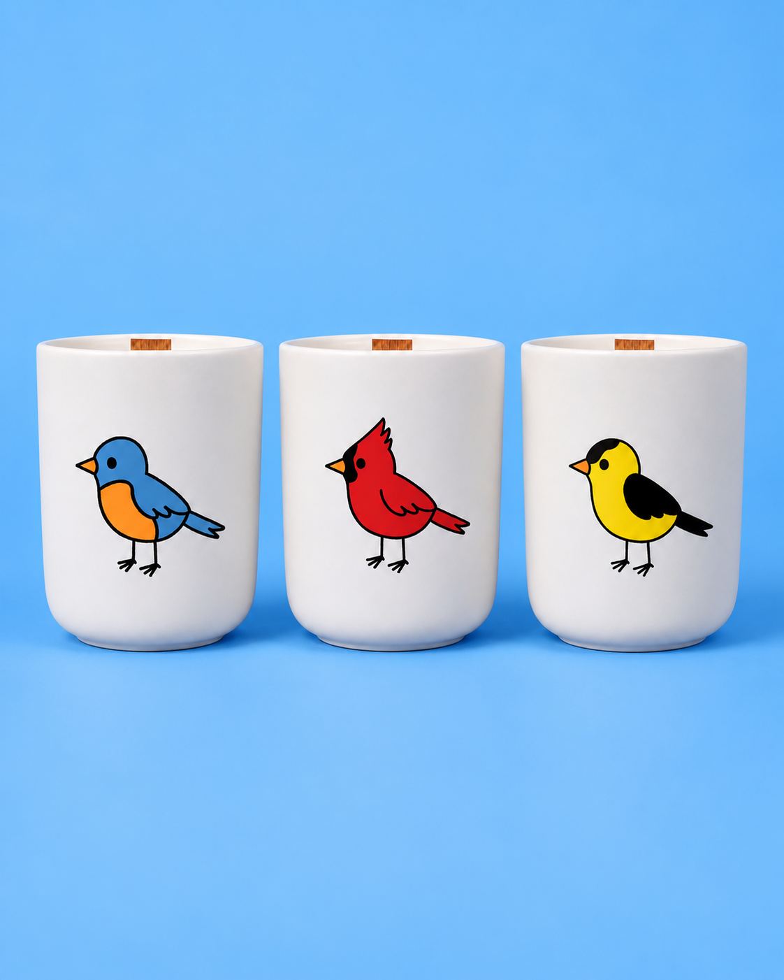 The Songbirds Flock Box